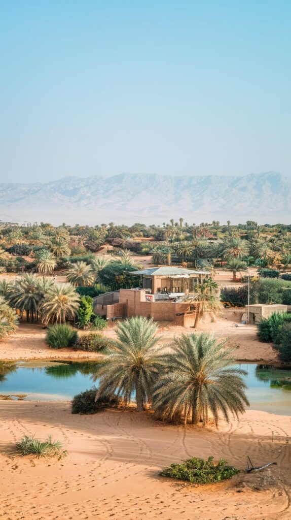 desert trees