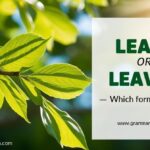 Leafs or Leaves